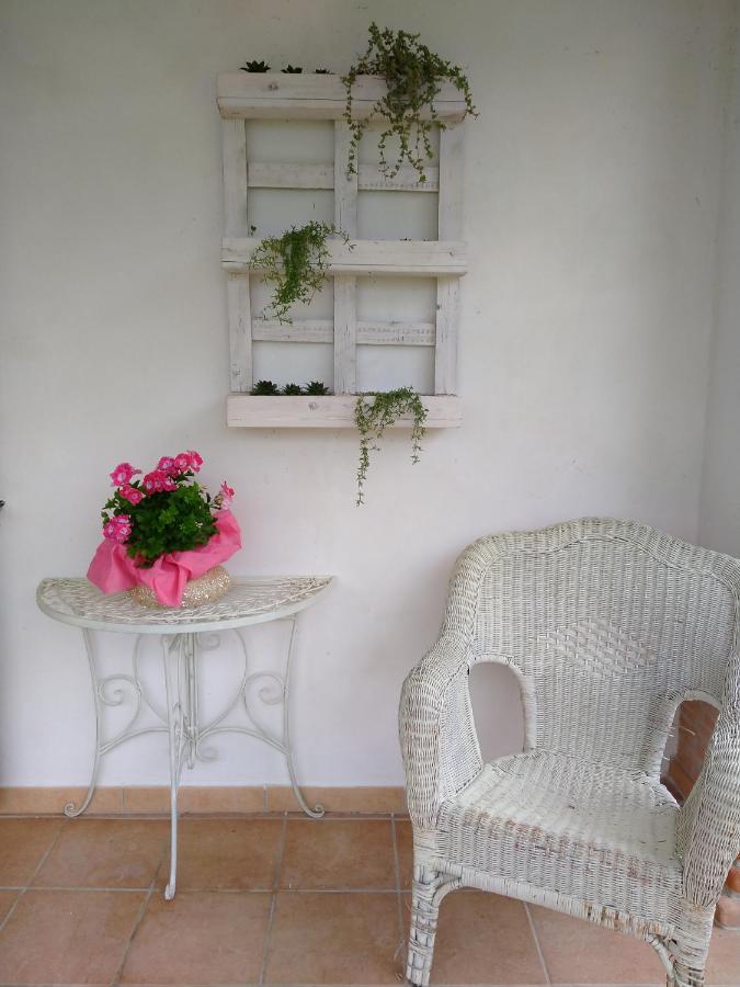 B&B Il Cantico Greccio Ngoại thất bức ảnh