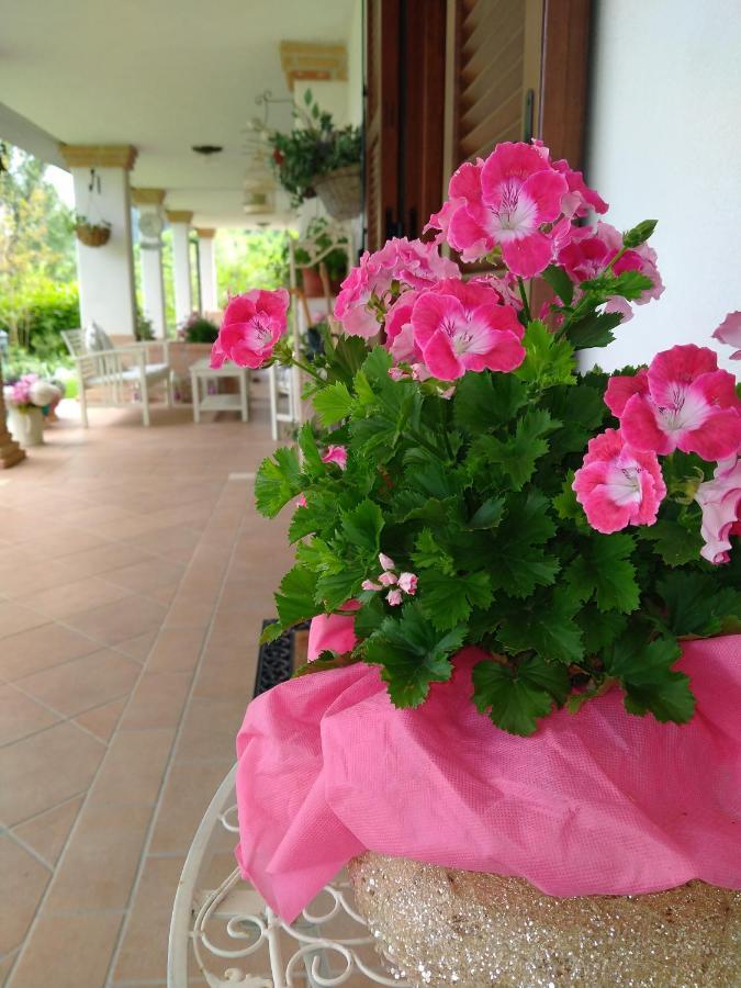 B&B Il Cantico Greccio Ngoại thất bức ảnh