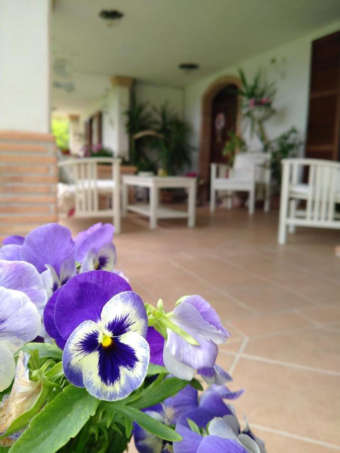 B&B Il Cantico Greccio Ngoại thất bức ảnh