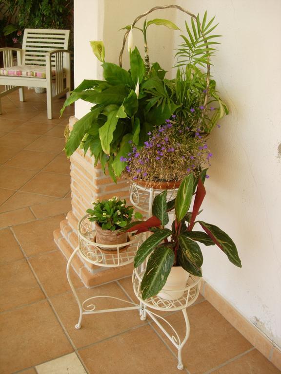 B&B Il Cantico Greccio Phòng bức ảnh